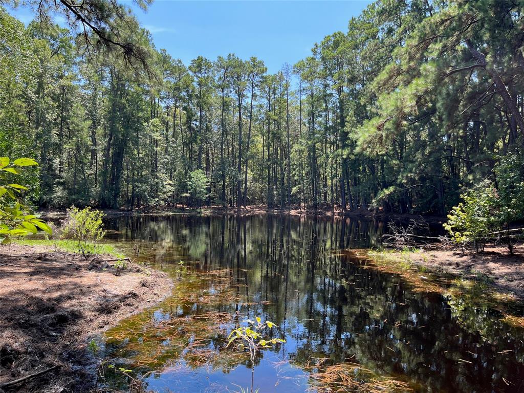 This gorgeous 130-acre property in Trinity, TX is full of endless possibilities. Densely wooded with mature pines and hardwoods,this property provides extensive opportunities for income-producing timber harvesting. This is also a hunter's paradise,with miles of secluded forest full of wildlife including deer and wild hogs. The 1-acre pond provides beautiful scenery,fishing,and accessible water for wildlife. A small manufactured home on the property was once used as a vacation home with electricity and water available. The home has not been factored into the sale price because the roof and flooring in the kitchen have been severely damaged and the home may not be salvageable. However it may have enough potential to be used as a rustic hunting cabin. This property consists of 4 Tax IDs totaling 130 acres: #18180,#18181,#18182,#31161. Situated just 4 miles outside of Trinity with 1/2 mile of road frontage on SH19, this property provides the perfect location for your dream getaway!