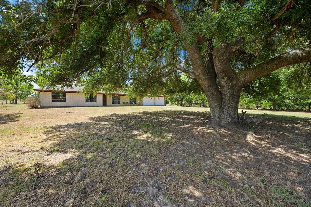 1768 County Road 449  , Thorndale, Texas image 5