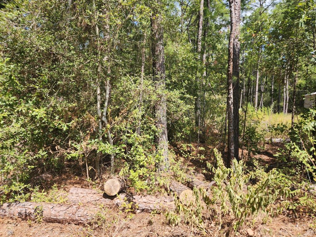Lot 19  Hawthorne Lane Plantersville Texas 77363, Plantersville