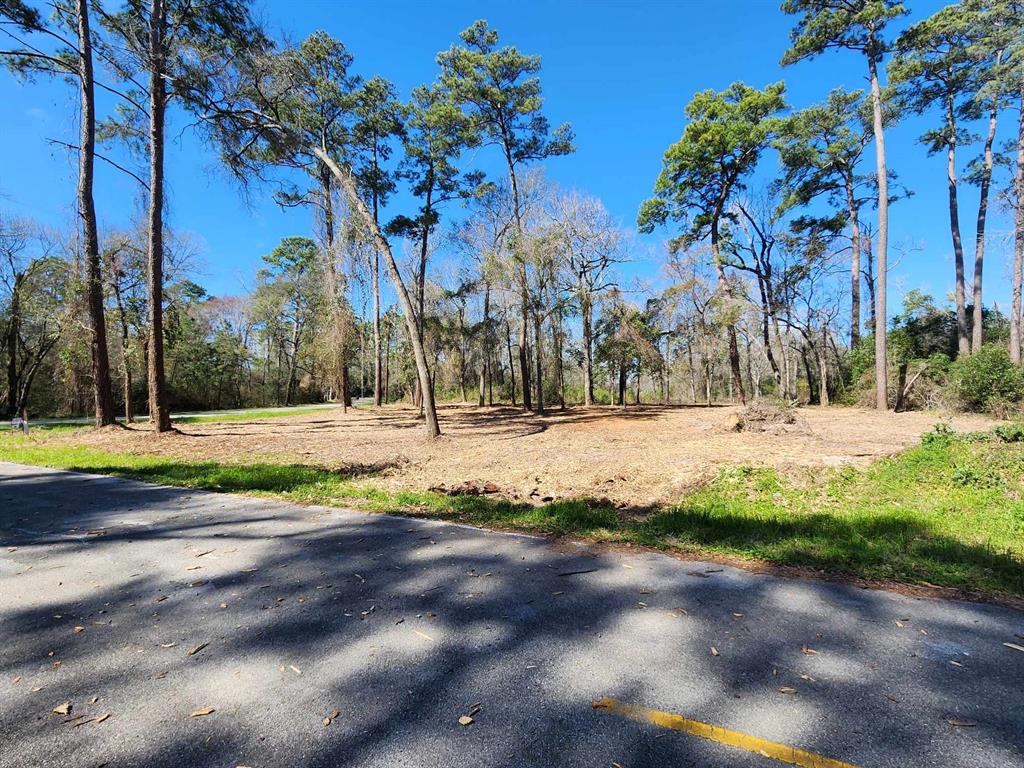 0  Creekwood Drive Spring Texas 77389, 14