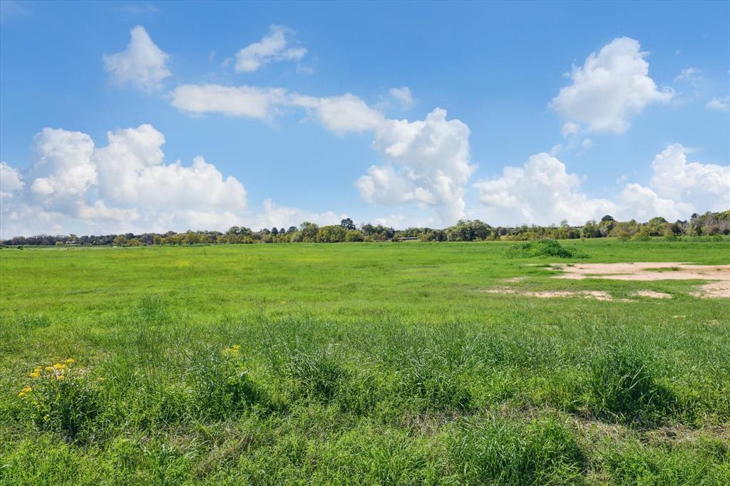 LOT 19 Acres Rolling Hill Drive , Cat Spring, Texas image 40