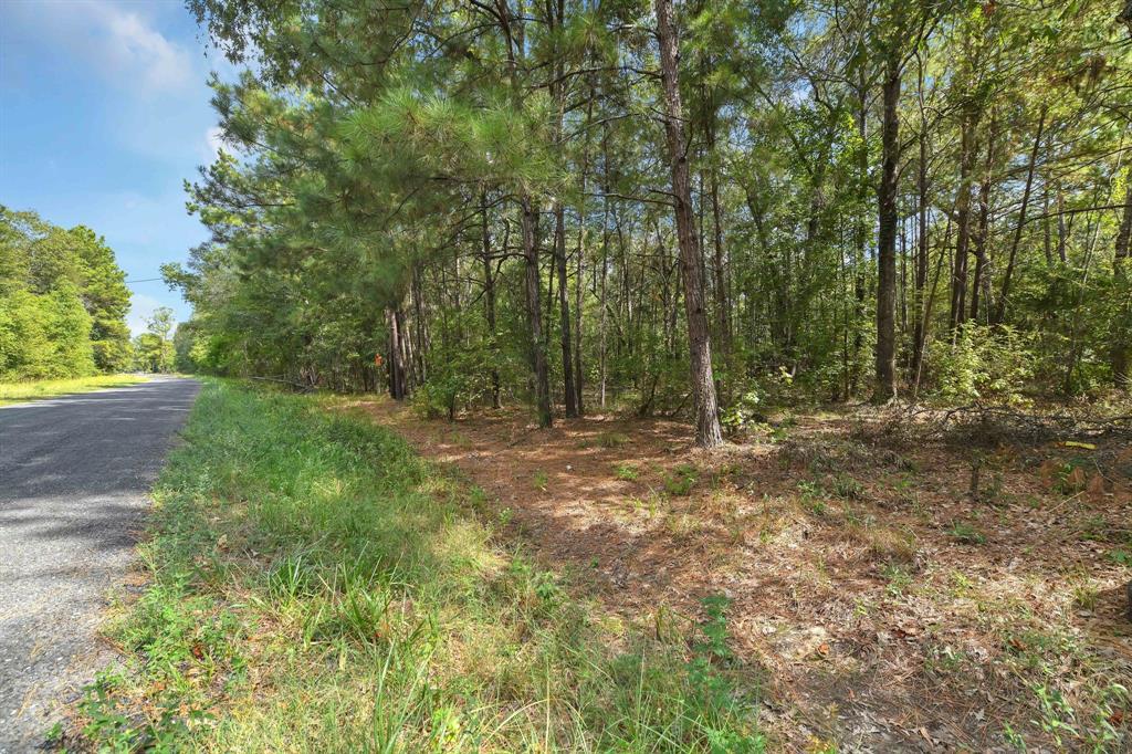 TBD (B) COUNTY ROAD 3015, CARTERS LOOP RD Dayton Texas 77535, Dayton TBD (B) COUNTY ROAD 3015, CARTERS LOOP RD Dayton Texas 77535, Dayton