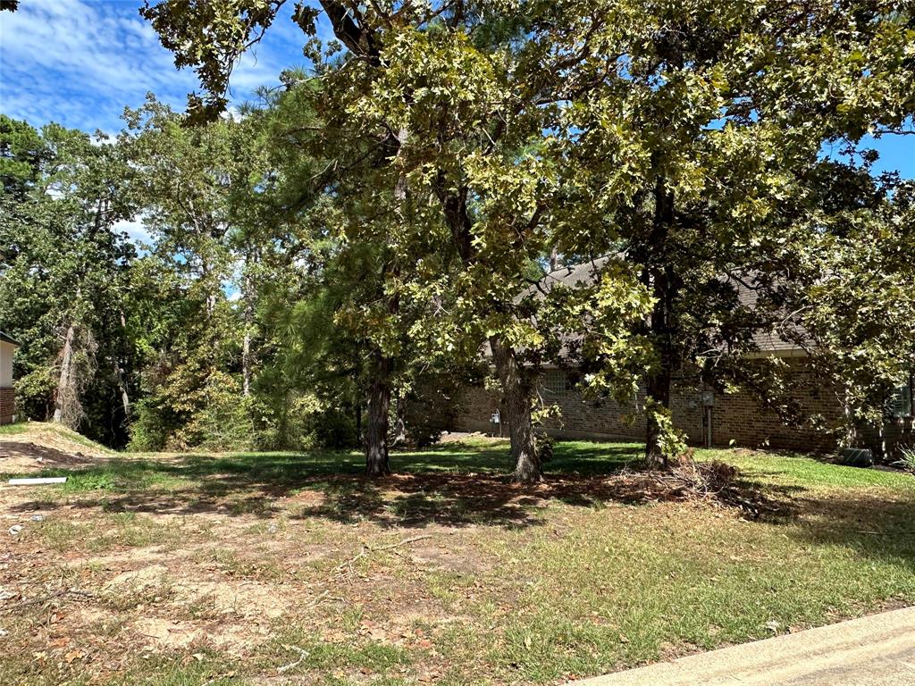 230  Creekwood East  Montgomery Texas 77356, Montgomery