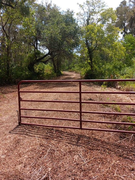 4099 County Road 244  , Brazoria, Texas image 7