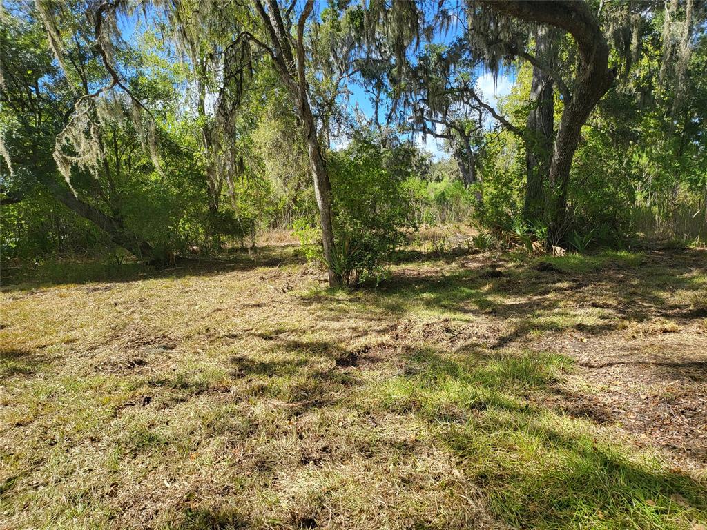 4099 County Road 244  , Brazoria, Texas image 8