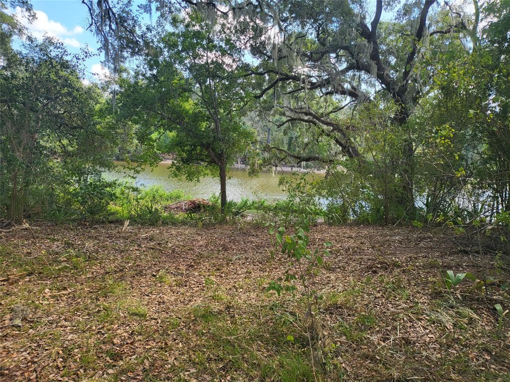 4099 County Road 244  , Brazoria, Texas image 9