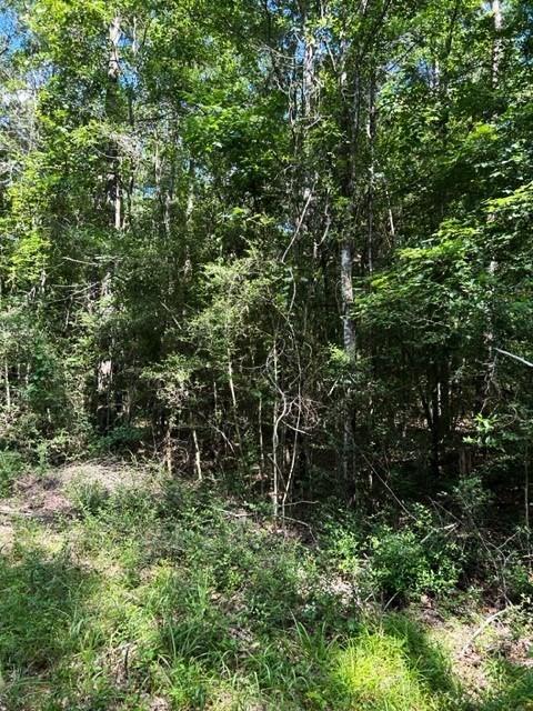 AB-247-1 County Road 416  , San Augustine, Texas image 9