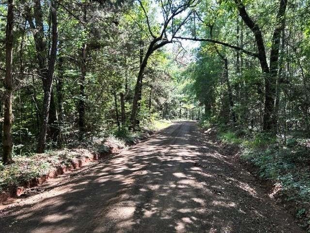 AB 247-2 County Road 416  , San Augustine, Texas image 7