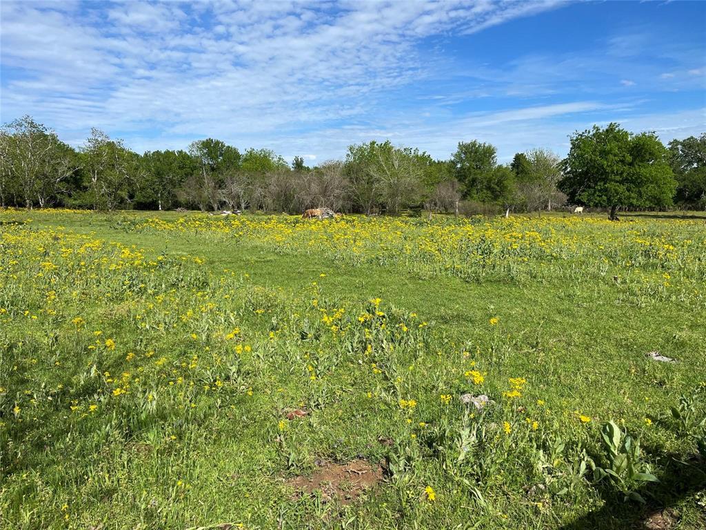 TBD Ward Bend Road , Sealy, Texas image 5