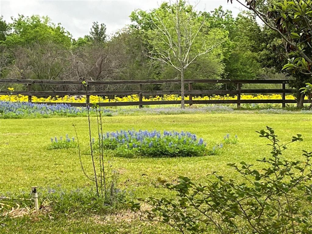 TBD Ward Bend Road , Sealy, Texas image 10