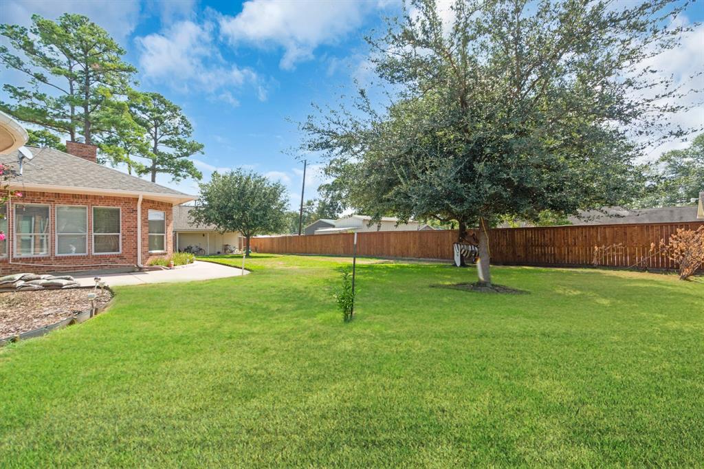 Oversized Peaceful Backyard