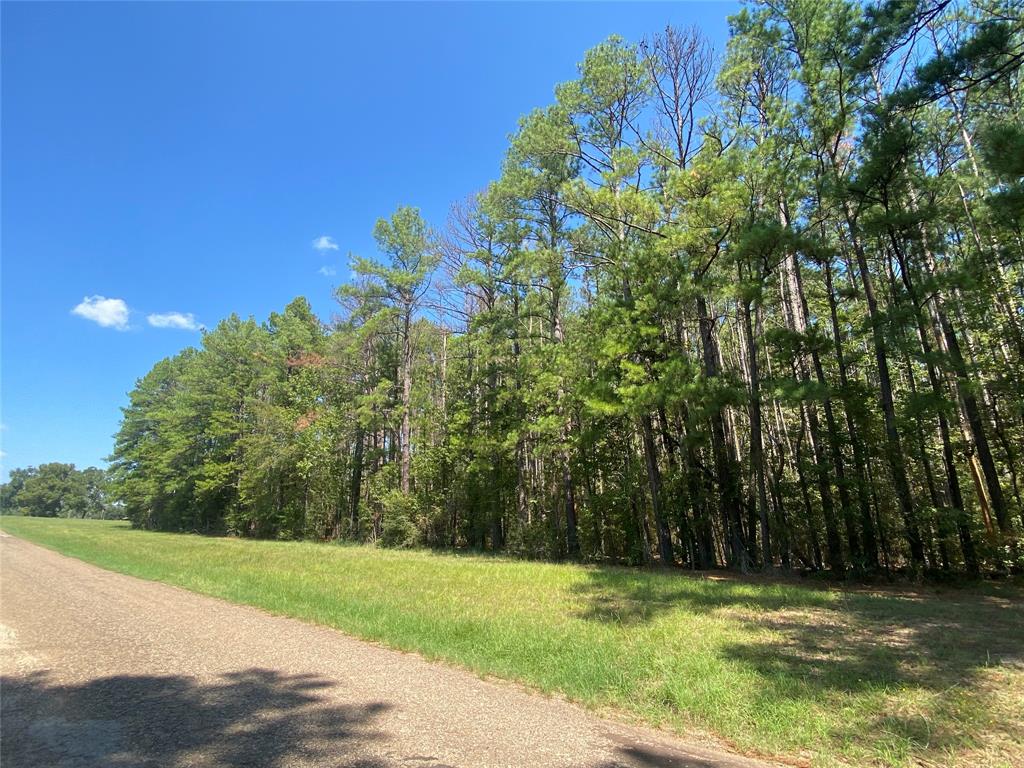 TIMBER TRACT – 23.997 ACRES! If you’re in the market for a property off the beaten path that would be a great investment opportunity, then look no further. This tract offers ample road frontage along the asphalt county road and has a good stand of merchantable pine timber on it. Located just minutes from the Davy Crockett National Forest, this location would be an ideal spot for the avid deer hunter to set up camp, as water and electric are both available at the road. With a driveway already in place, it would be ideal to bring a fifth-wheel to park during the upcoming hunting season. So, if you’re seeking that perfect recreational property or a place to get away from the big city then give us a call today to get more information on this new listing.