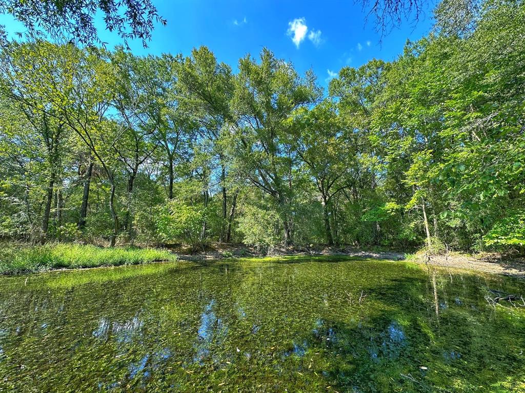 22.99 acres in a prime location on County Road 245 just south of Oakwood. This tract offers the “Big Two”  -- an all weather creek (that is still flowing in this drought) and a stock pond! Beautiful wooded property with a great location to build a house. Located on a dead end county road, allowing for minimal traffic and some peace and quiet. Huge hardwood and pine trees are on the property and provide excellent cover for wildlife. Property lines are cleared and it has a nice trail through it. Water and electricity available on the county road.