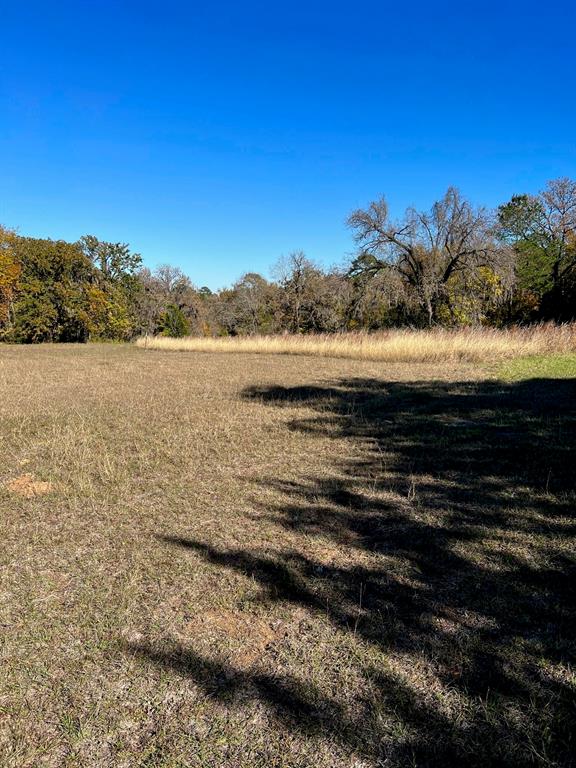 Lot 120 & 121 Crestview Circle , Coldspring, Texas image 11