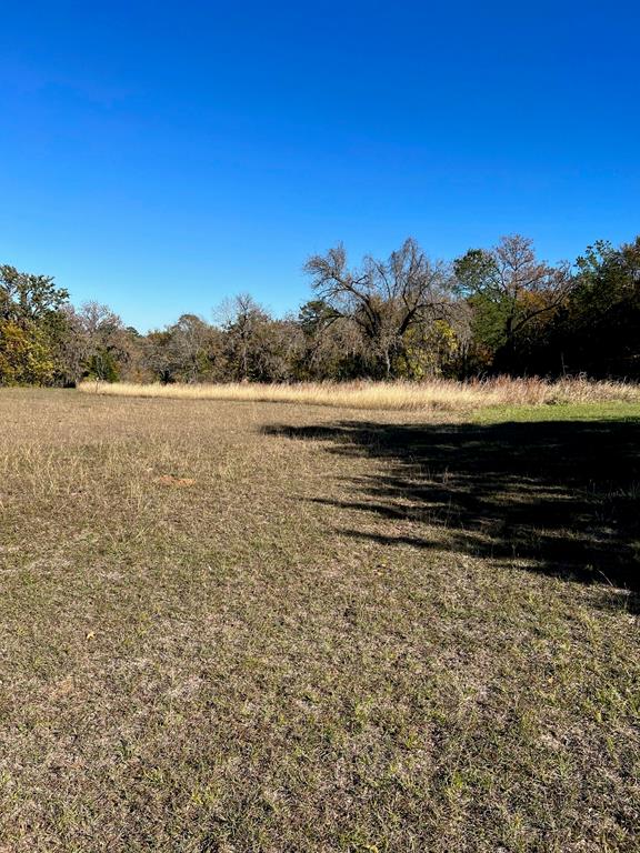 Lot 120 & 121 Crestview Circle , Coldspring, Texas image 13