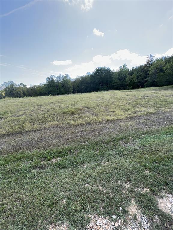 Lot 120 & 121 Crestview Circle , Coldspring, Texas image 8