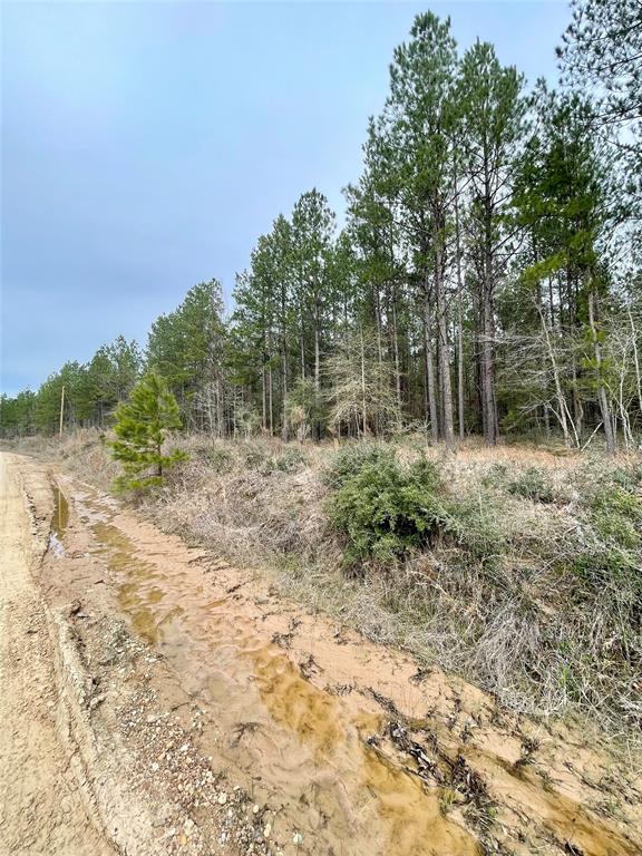 This beautiful 10 acre secluded get away is perfect for a weekend ranch outside of the city or the outdoor enthusiast. This property is ideal for recreational purposes and great land to hunt on! Come visit your country oasis surrounded with mature trees, wildlife and the peaceful surroundings today! Contact me for more details!