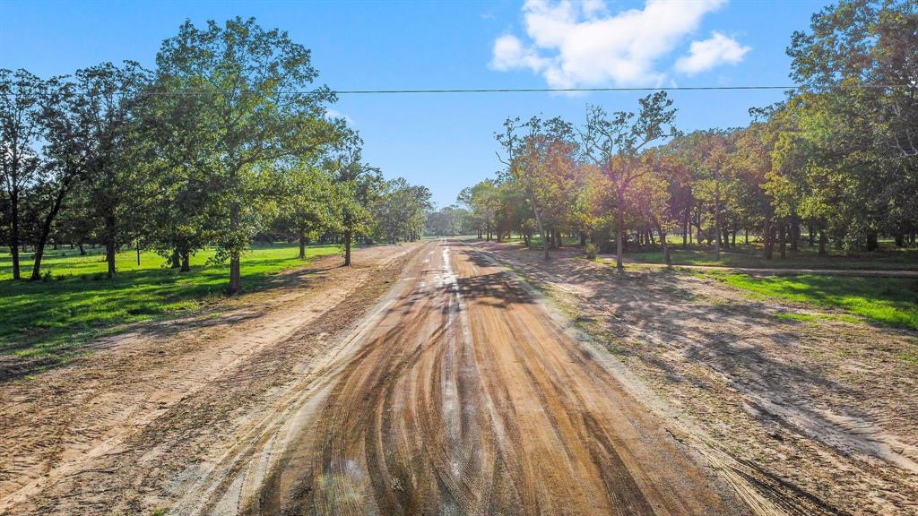 Lot 12 Alans Memorial Lane  , New Waverly, Texas image 8