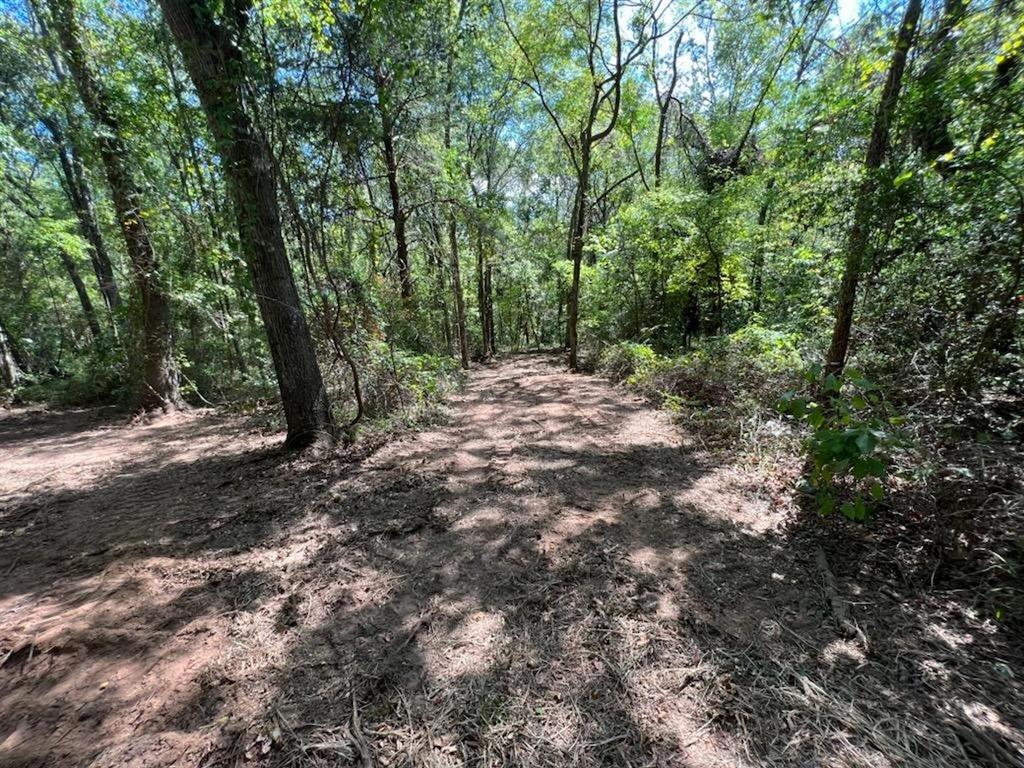 TBD Cr 4119  , Jacksonville, Texas image 9