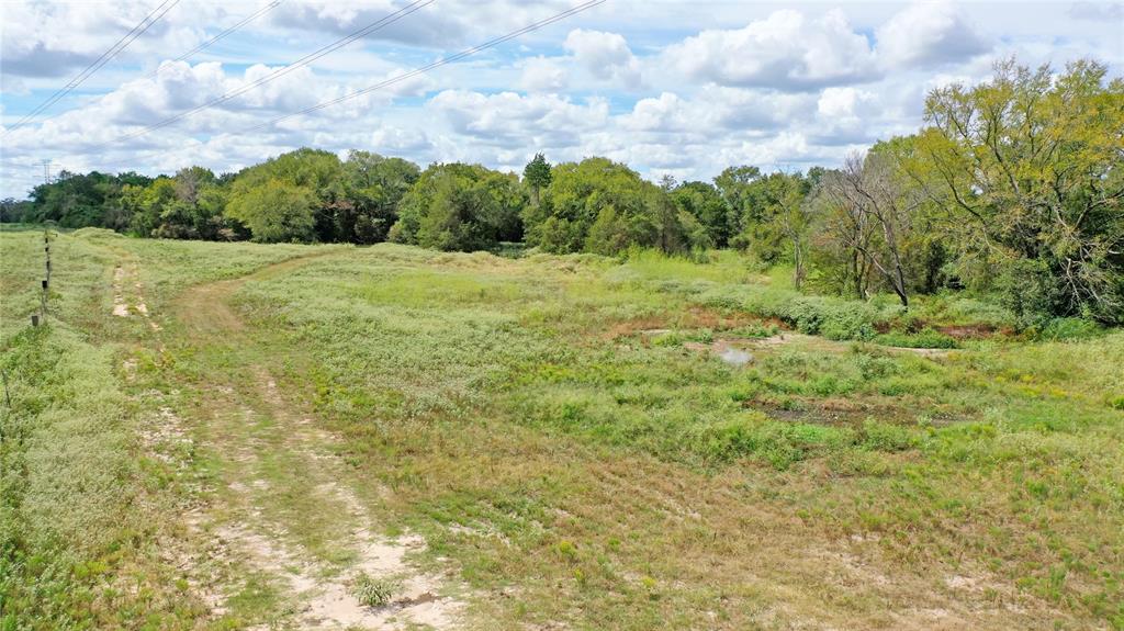 TBD County Road 155  , Bedias, Texas image 7