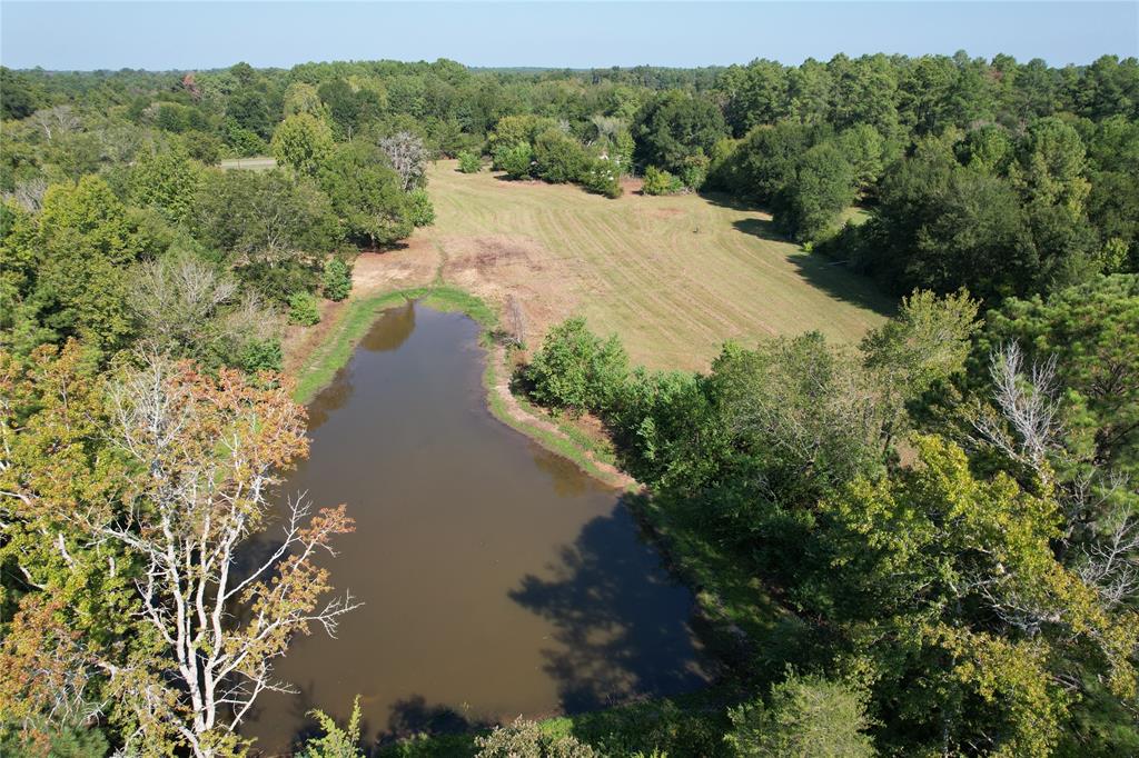 PRETTY SETTING!  
Nestled in the heart of East Texas, this 6.749-acre property is ready for its new owner to make it a home place or weekend retreat. This property offers great road frontage on State Highway 21 East in the Belott community and Kennard ISD. This property offers both convenience and serenity. You will love the pond that spans almost 1-acre, perfect for stocking with fish or a water source for livestock. There is an older home and some storage buildings that contribute little to no value on this property – they could either be removed or renovated to suit your needs. There is plenty of room to build a new home or weekend camp. This property has a lot of potential and could be a beautiful homesite with a little TLC. Call today to schedule a private tour!