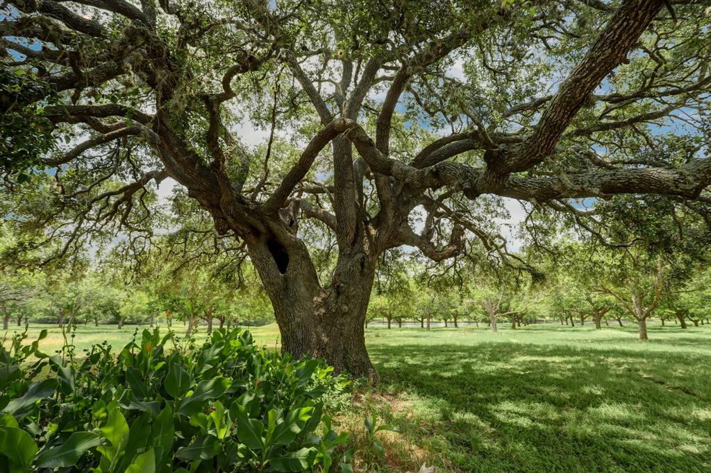 2796 County Road 226  , Schulenburg, Texas image 46