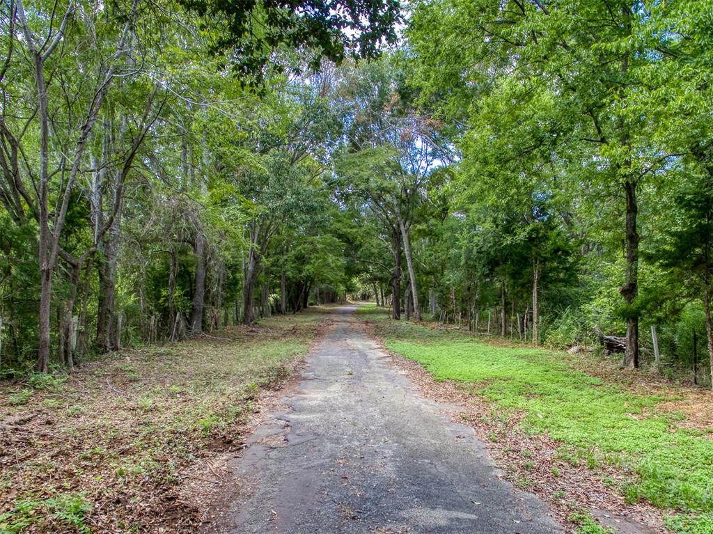 Discover an exceptional opportunity to own a sprawling 156-acre parcel that seamlessly blends the tranquility of the countryside with city convenience. Nestled just one mile beyond Loop 256 in picturesque Palestine, this unique property offers a harmonious blend of pastoral beauty and wooded retreat. Enjoy the ease of access to downtown Palestine while relishing the serene beauty of rural living. Imagine building your dream country home in a setting that offers the perfect blend of peace and convenience. This property offers boundless potential for your ideal rural lifestyle, or the ample acreage and versatile terrain make subdivision an enticing prospect.