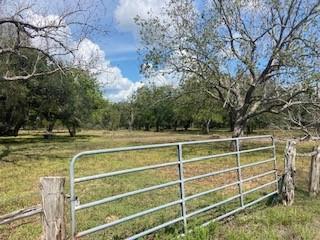 75 +/- Acres on Highway 35, 2 miles East of Van Vleck, Texas.  This property is covered with majestic Live Oak and 
Pecan trees.  It is currently under agriculture exemption, being grazed by cattle.  Its highest and best use is residential development.  There is a metal building on the property with electricity and water well.  It is located in the highly respected Van Vleck School District, just minutes from Bay City.  $933,000.