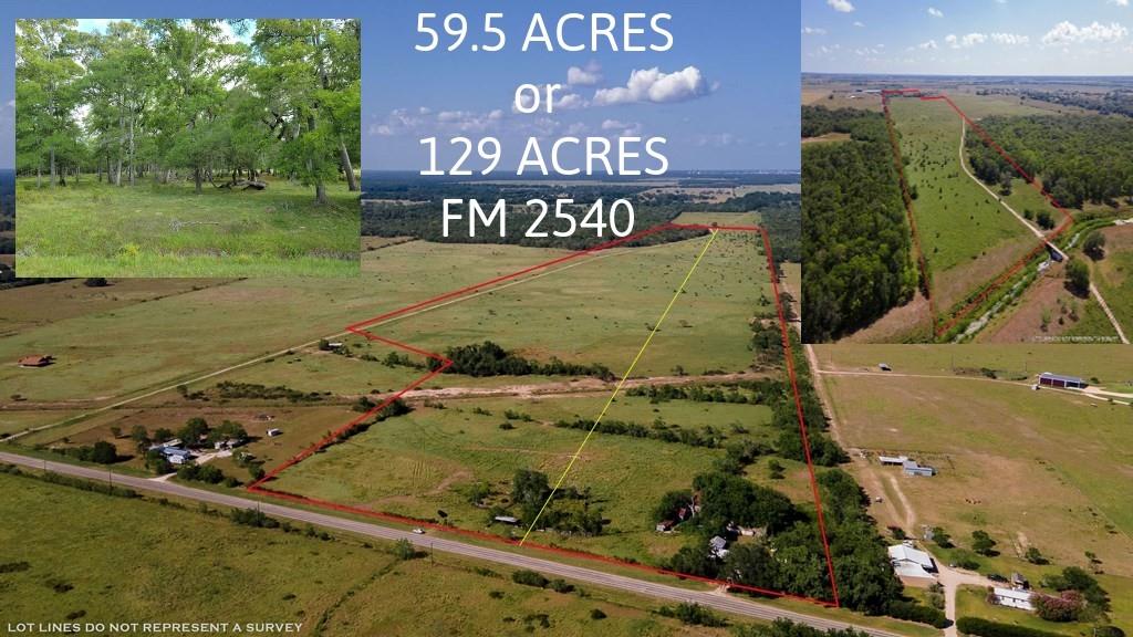 FARM MARKET 2540 Van Vleck, Texas JUST IN TIME FOR DEER SEASON! AMAZING LAND THAT HAS BEEN IN SELLERS FAMILY FOR GENERATIONS & LOVED. 59.5+/- ACRES(NORTH SIDE) TO BE CUT OUT OF THE 129 ACRE ESTATE OR TAKE ALL 129 ACRES! GORGEOUS RANCH LAND THAT IS LOADED WITH DEER, HOG & WILDLIFE & HAS A LITTLE OVER 680FT (129 ac Tract- so half will be split)ON HARDEMAN CREEK WITH MAJESTIC OAKS RUNNING THROUGH THE PROPERTY. OVER 80% IS LOCATED OUTSIDE OF FLOODPLAIN AREA & HAS EXCELLENT DRAINAGE. PROPERTY IS 90% FENCED & CURRENTLY IS BEING USED FOR CATTLE. RICH SOIL & NATIVE GRASS. LOCATED ON FM 2540 JUST ACROSS FROM THE BAY CITY AIRPORT & LOCATED IN THE VAN VLECK SCHOOL DISTRICT. PROPERTY HAS AN AG EXEMPTION & EXTREMELY LOW TAXES. FARMSTEAD HOME TO THE SOUTH WILL NOT CONVEY. NEW SURVEY NEEDED BY BUYER