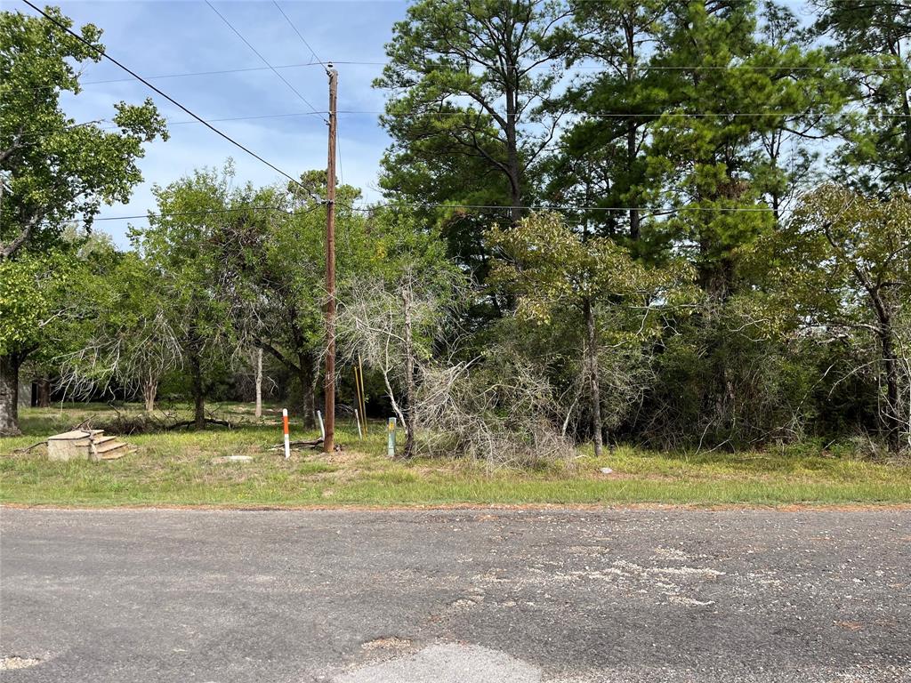 STREET VIEW OF BOTH WOODED LOT AND CLEARED