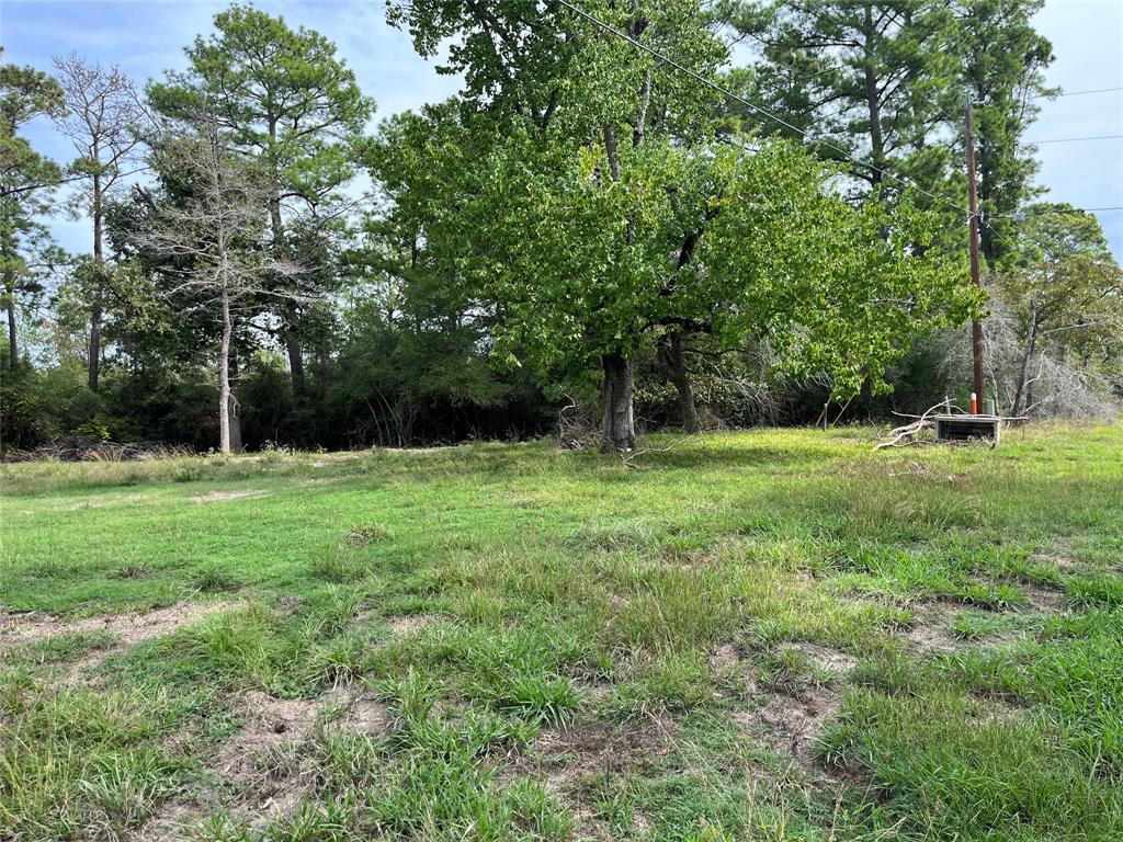 CLEARED FLAT LOT WITH A FEW SHADE TREES