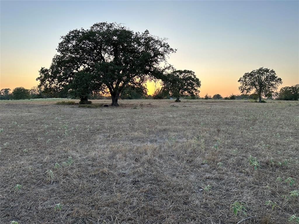 Escape to the country and build your dream home! This picturesque 4-acre homesite offers a nice balance of open area with scattered mature trees. Only 30 miles from College Station and 40 miles to Huntsville! Light Deed Restrictions.