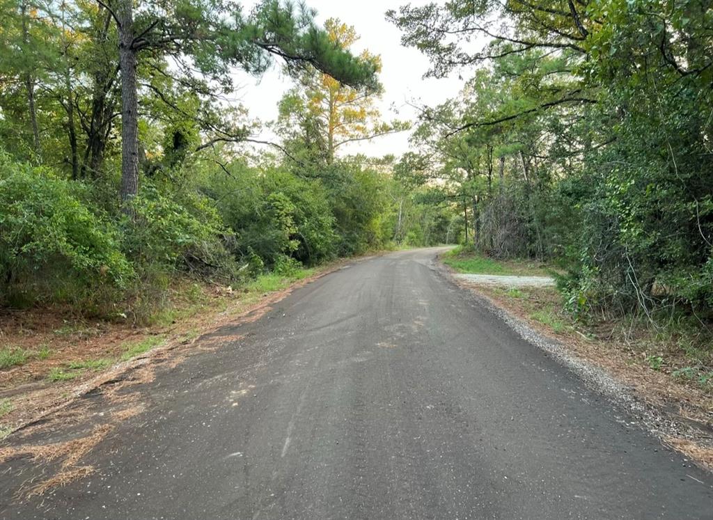 20 AC County Rd 770  , Buffalo, Texas image 6