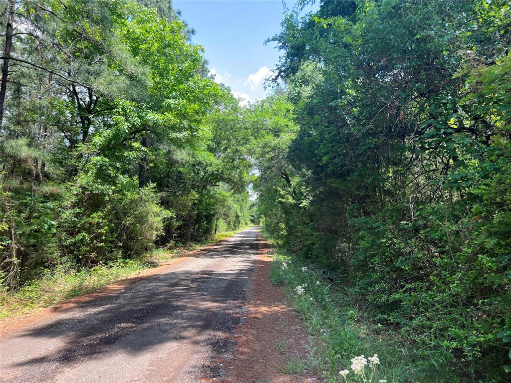 20 AC County Rd 770  , Buffalo, Texas image 7