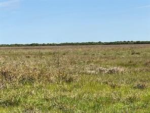 Tract 3 County Rd 18, Hallettsville, TX, 77964