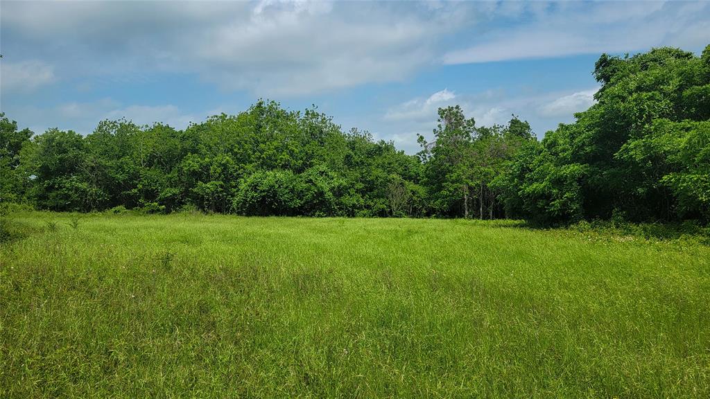 3979 Felder Road , Washington, Texas image 6