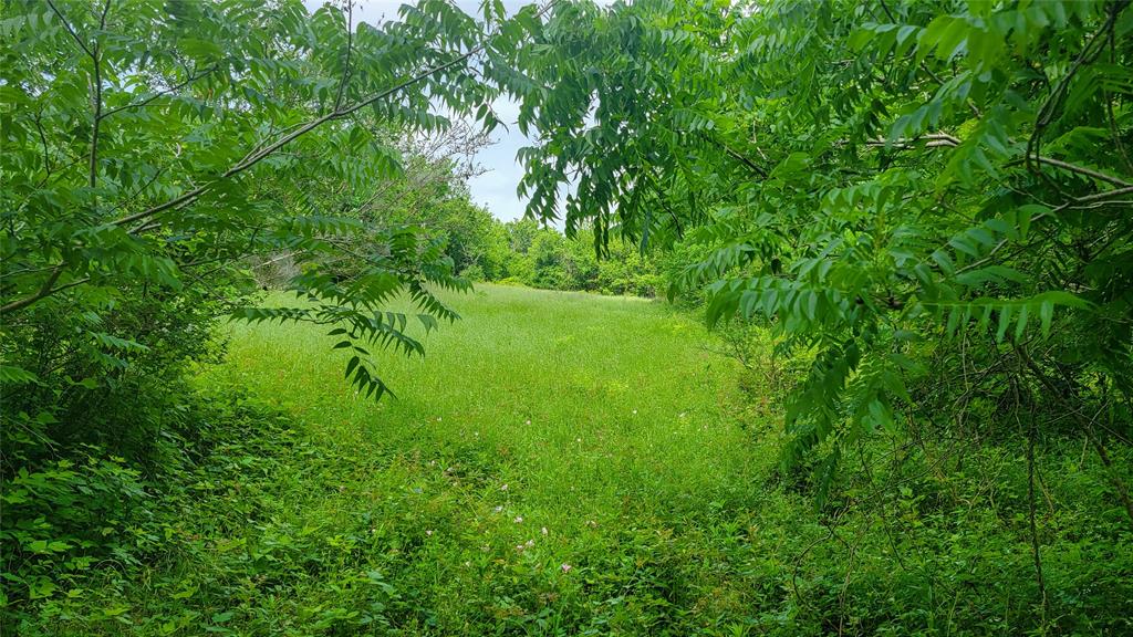 3979 Felder Road , Washington, Texas image 8