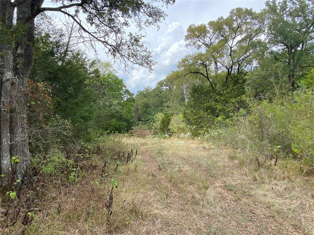 This is an exciting property for anyone looking for peace and quiet, outdoor adventure, and wide open spaces! Whether it is hunting deer sheds, running cattle, or just looking for a place to retreat - you have found it! Access to the 33 acres is off of Grassyville Road. It has a variety of trees, A GRAVEL PIT, seasonal creek that runs through the property, open land for grazing and/or a build site, as well as great coverage for wildlife and livestock. This property checks so many boxes! 

The seller is also willing to to sell the remainder of the tract. The remaining 20.93 acres includes access from Paffen Road, which  is a paved road, water well and aerobic system already installed, gated entrance, packed driveway, up to 4 shipping containers, and a stock pond. 

24 hour notice is requested to set up a time to preview the property. Documents and images showing the layout of the land will be added as soon as possible. 

Shoot me a text and let's get your showing scheduled today!