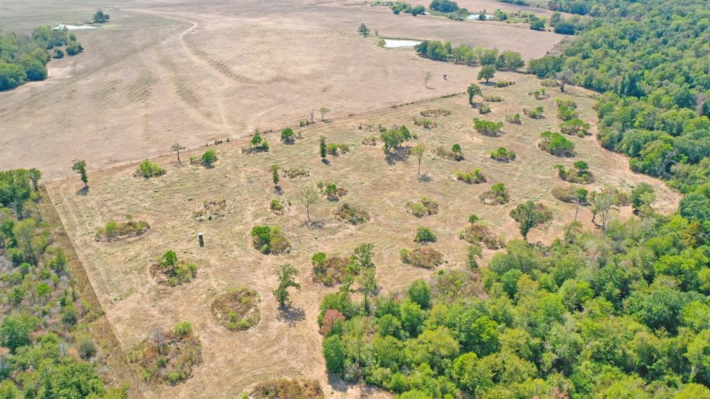 TBD 67+/- Acres Burns Rd Road , Midway, Texas image 11