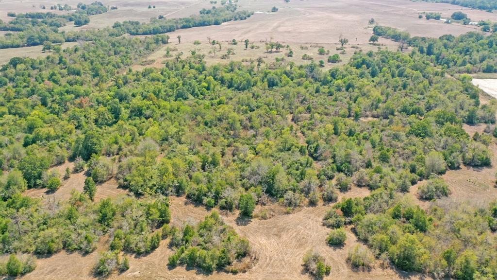 TBD 67+/- Acres Burns Rd Road , Midway, Texas image 14