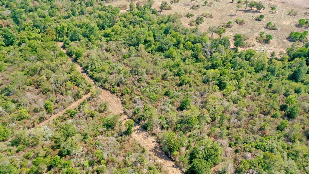 TBD 67+/- Acres Burns Rd Road , Midway, Texas image 15