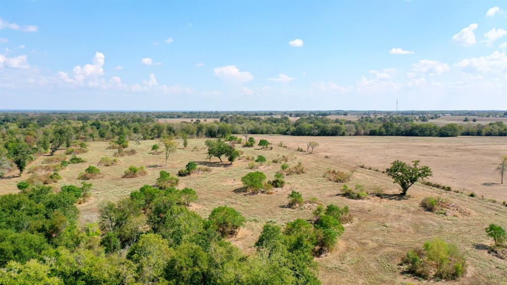 TBD 67+/- Acres Burns Rd Road , Midway, Texas image 17