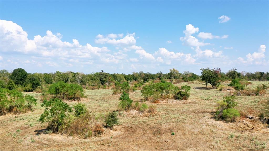 TBD 67+/- Acres Burns Rd Road , Midway, Texas image 18