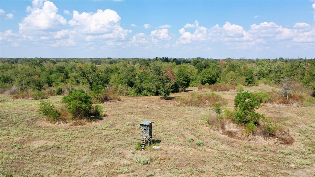 TBD 67+/- Acres Burns Rd Road , Midway, Texas image 19