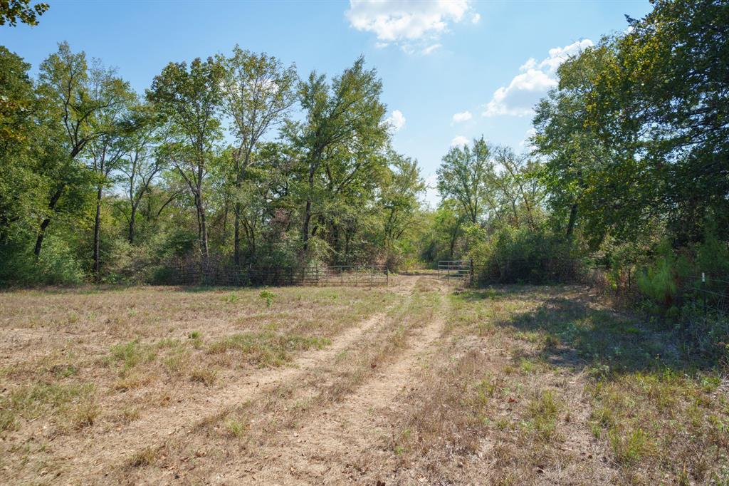 TBD 67+/- Acres Burns Rd Road , Midway, Texas image 23