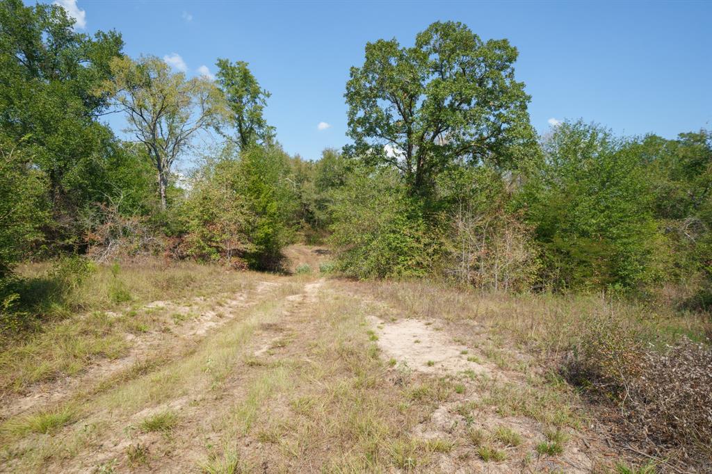 TBD 67+/- Acres Burns Rd Road , Midway, Texas image 24