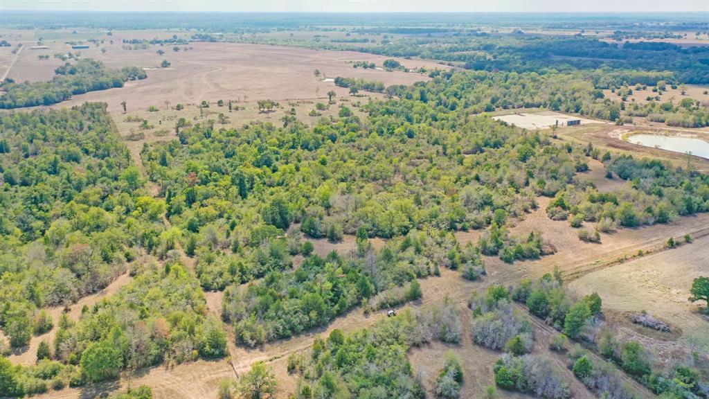 TBD 67+/- Acres Burns Rd Road , Midway, Texas image 9