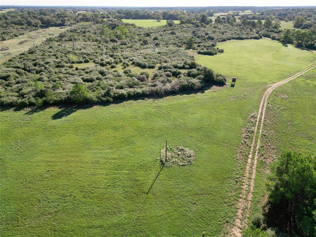 TBD Bailey Road , Alleyton, Texas image 15