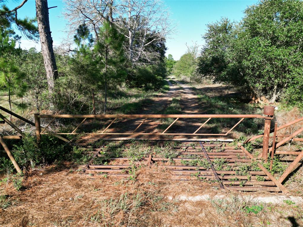 TBD Bailey Road , Alleyton, Texas image 17