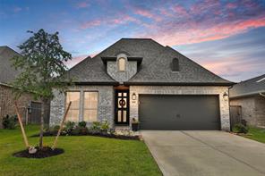 20010 Roan Ardennes, Tomball, TX, 77377
